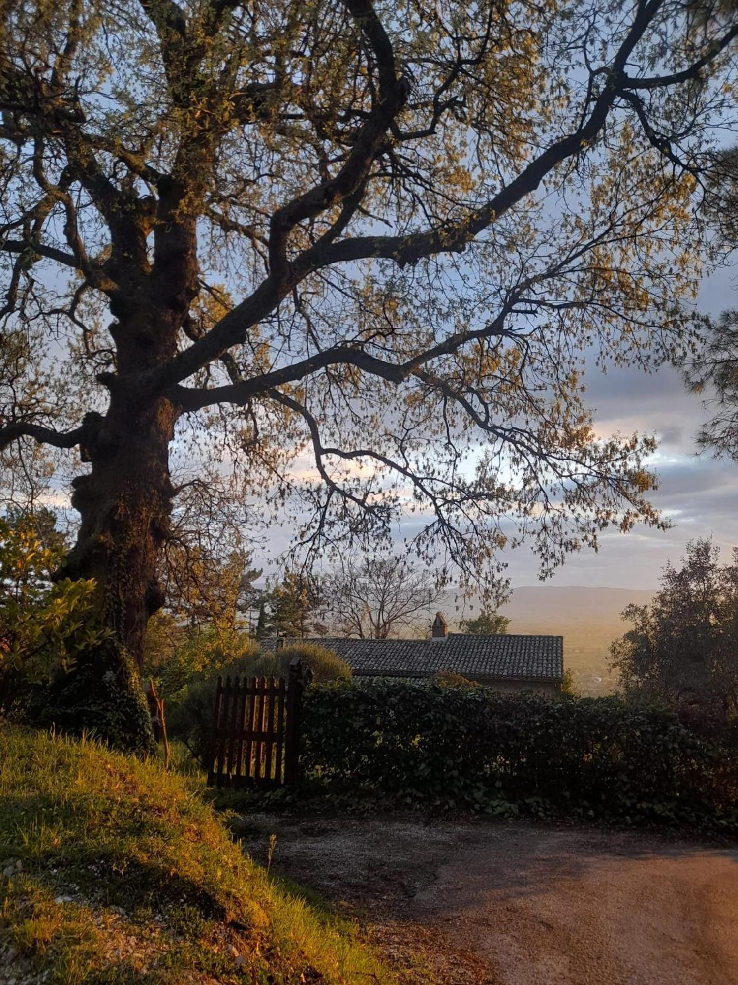 B&B Il Sentiero Di Assisi Luaran gambar
