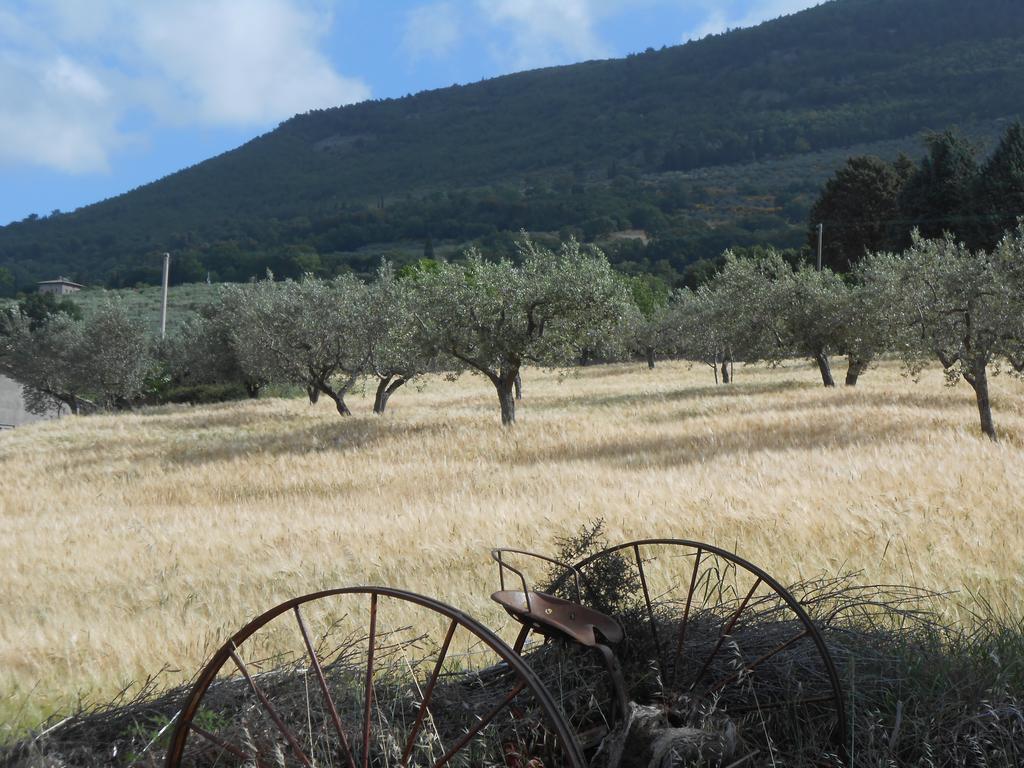 B&B Il Sentiero Di Assisi Luaran gambar