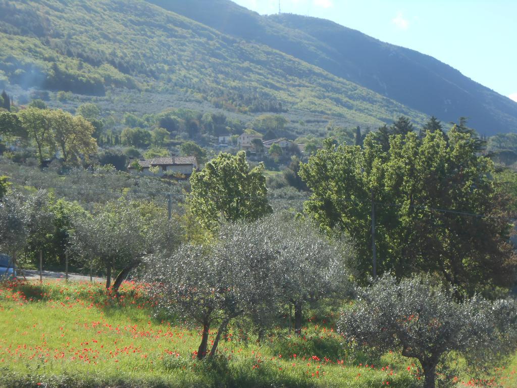 B&B Il Sentiero Di Assisi Luaran gambar
