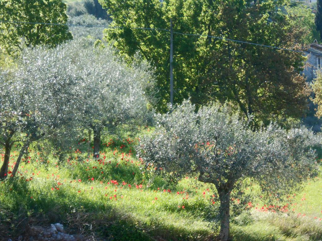 B&B Il Sentiero Di Assisi Luaran gambar