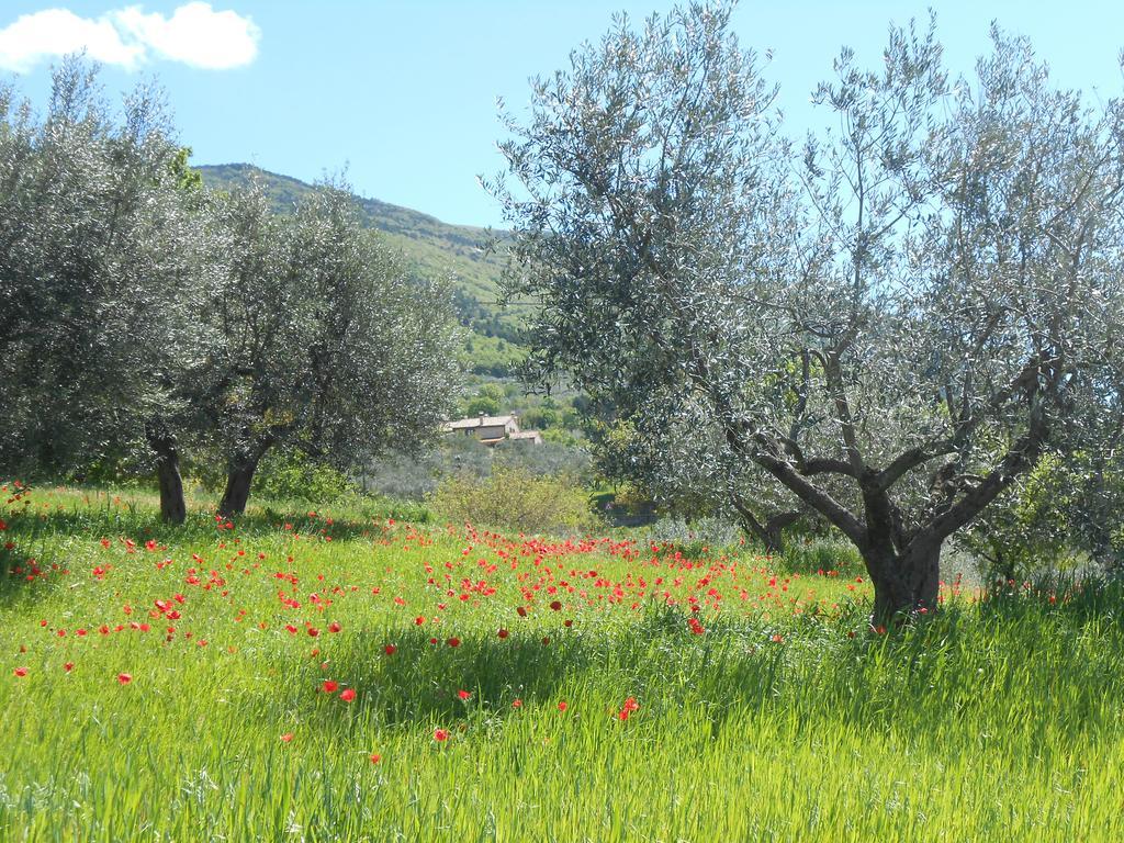 B&B Il Sentiero Di Assisi Luaran gambar