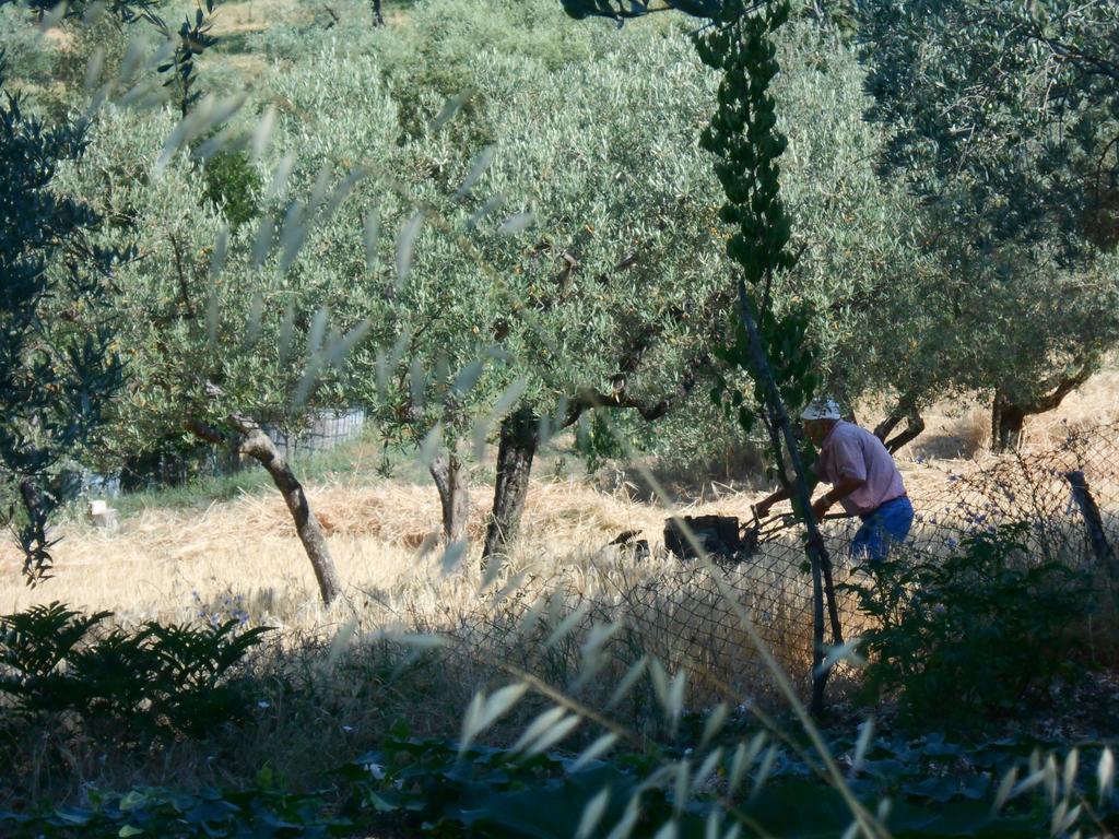 B&B Il Sentiero Di Assisi Luaran gambar