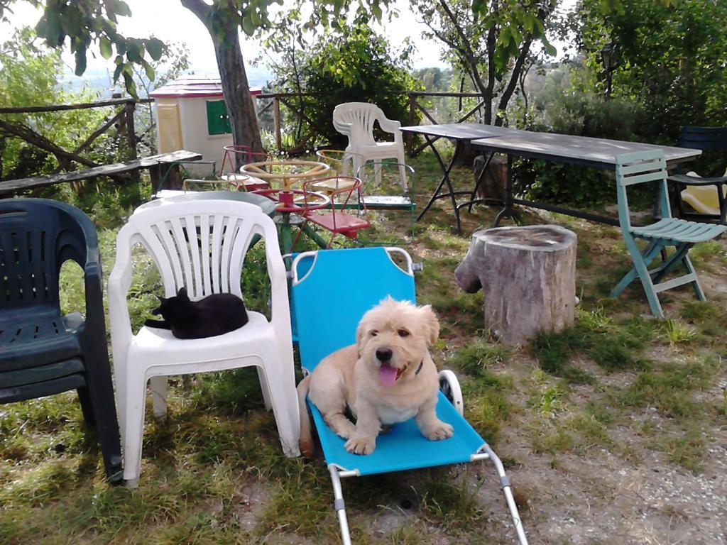 B&B Il Sentiero Di Assisi Luaran gambar